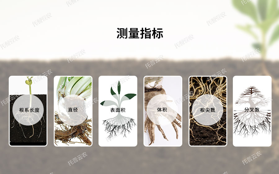植物根系分析仪可测量指标