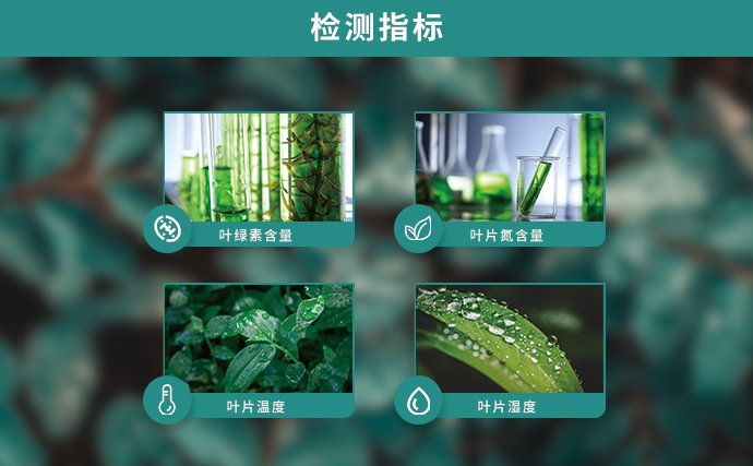 植物营养测定仪可检测指标