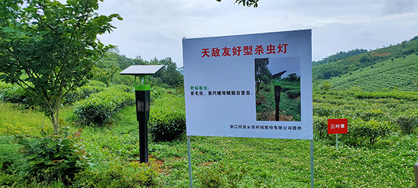 托普风吸式杀虫灯应用于贵州茶园基地