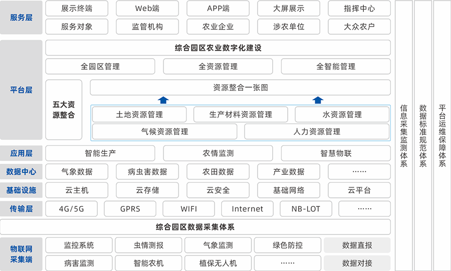 建设内容
