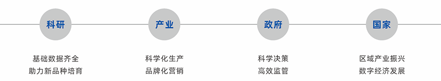 方案价值