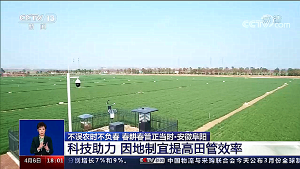 CCTV13新闻频道《共同关注》·安徽阜阳