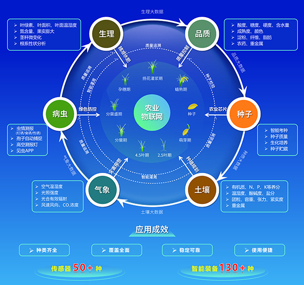 蓝月亮正宗免费料