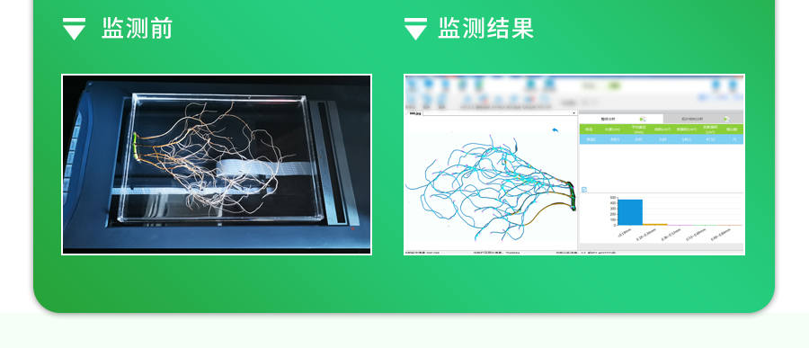 植物根系分析仪