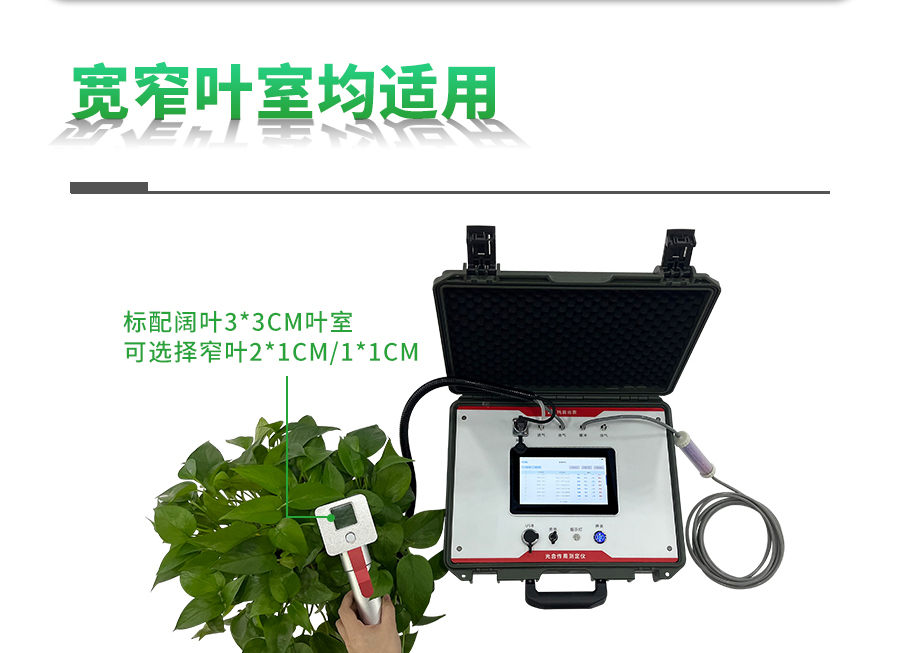 植物光合作用测定仪