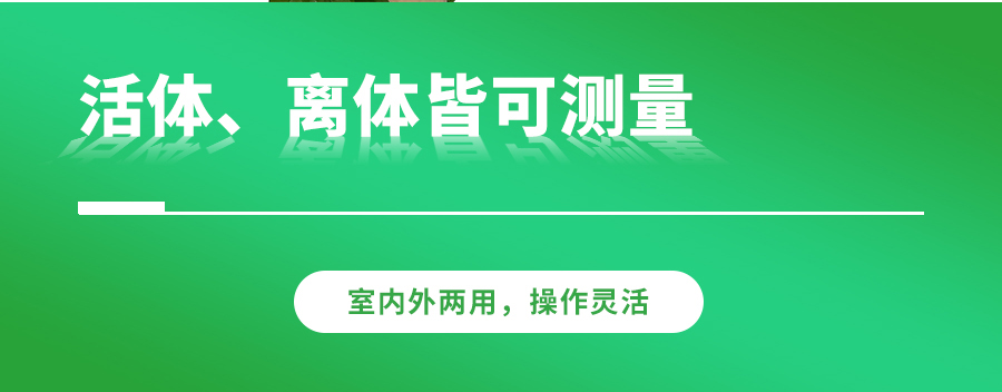 植物光合作用测定仪