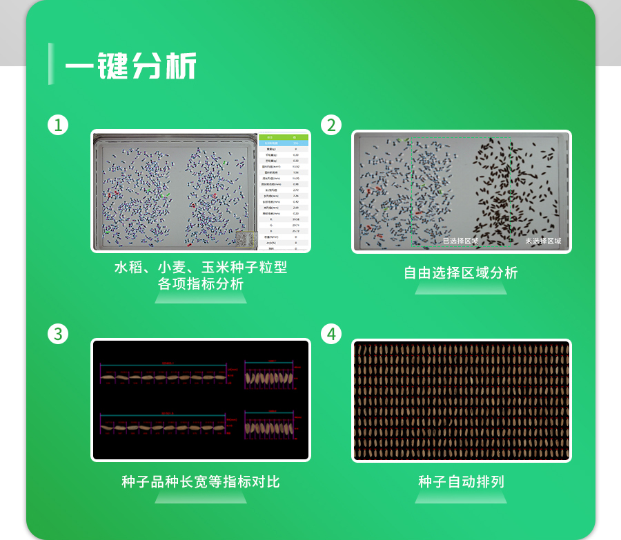 小麦考种系统