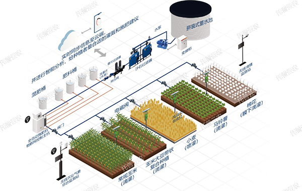 智能水肥一体化灌溉系统