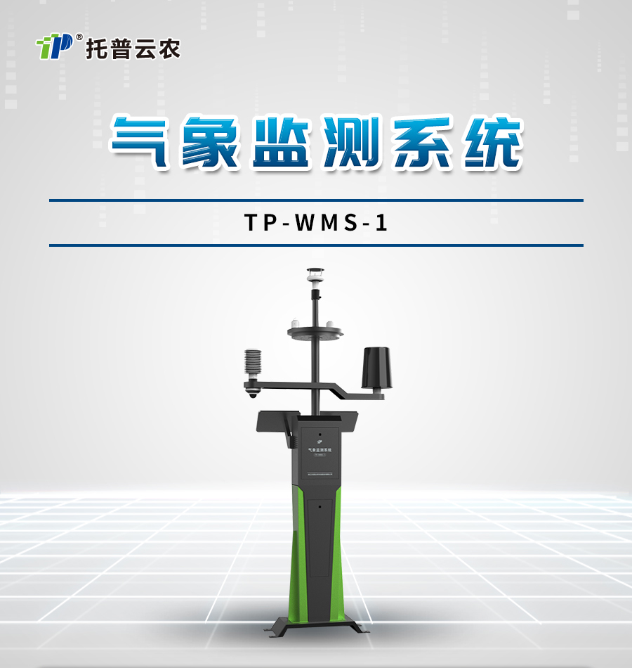 TP-WMS-1气象监测系统