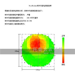 古树名木无损检测探伤仪