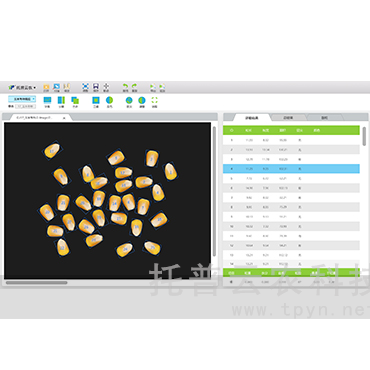 玉米考种分析系统