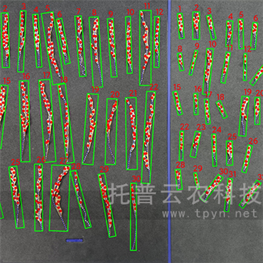 水稻整穗考种仪