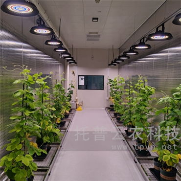 智能人工气候室