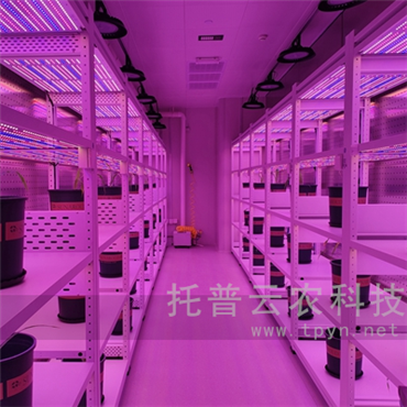 智能人工气候室