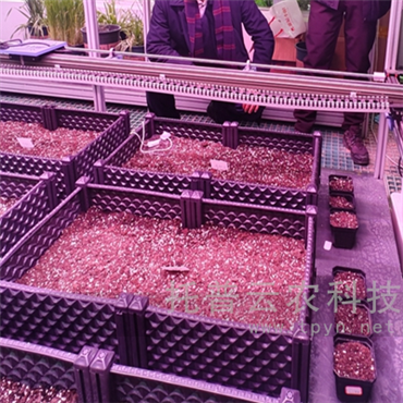 人工气候室植物表型监测系统