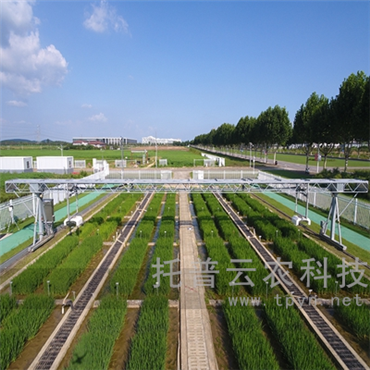 龙门式高通量表型采集分析平台（地轨式）