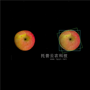 高光谱品质分析仪(果实)