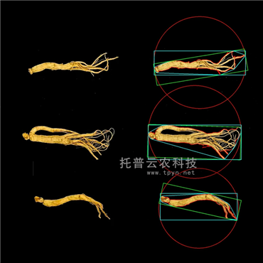 中药材品质分析系统