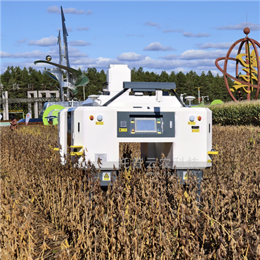 无人车式高通量表型采集分析平台（横跨式）