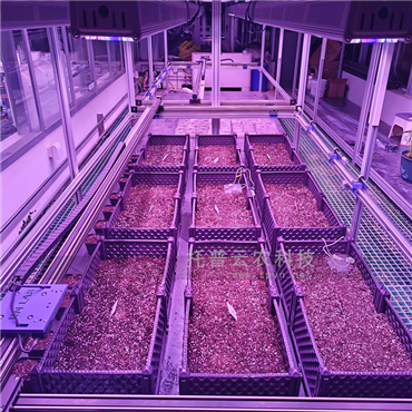 室内种子萌发表型监测系统