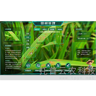 便携式作物健康AR分析系统（AR眼镜）