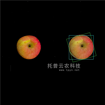 高光谱品质分析仪(果实)