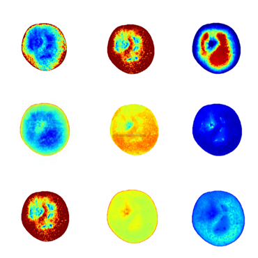 高光谱品质分析仪（果实）