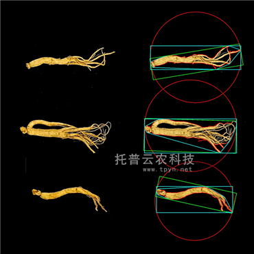 中药材品质分析系统