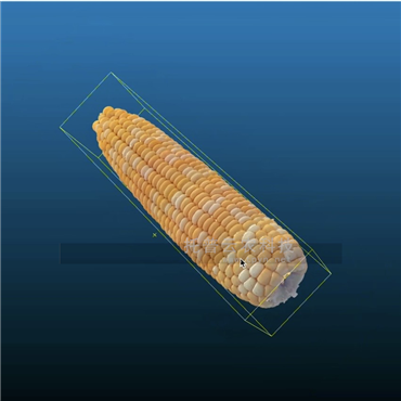 高通量玉米果穗考种分析系统