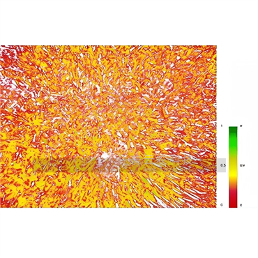 无人机低空巡检系统（手飞版）