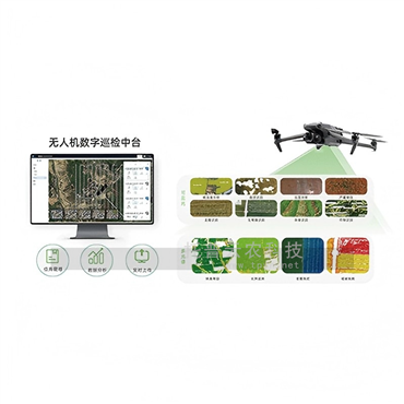 无人机低空巡检系统（手飞版）