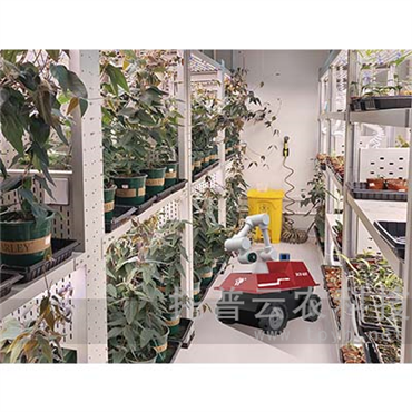 智能人工气候室