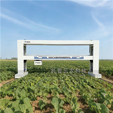 龙门式高通量表型采集分析平台（地轨式）