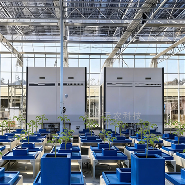 高通量植物表型采集分析平台