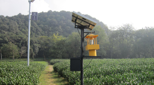 托普云农研发的茶园专用杀虫灯