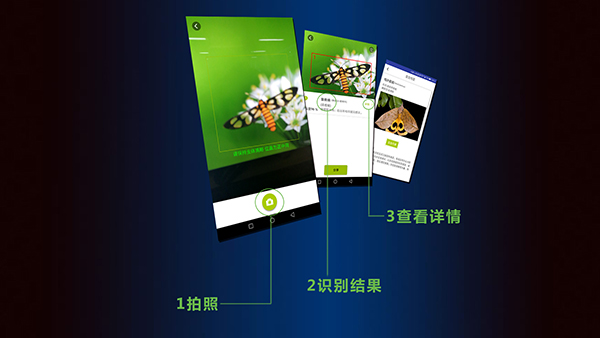 见虫昆虫识别app