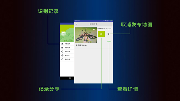 见虫昆虫识别app