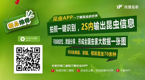 拿害虫没辙怕农残过量？托普云农这款APP让你的手机变灭虫好帮手