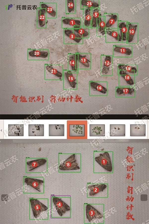 草地贪夜蛾不是终点，而是单个需求