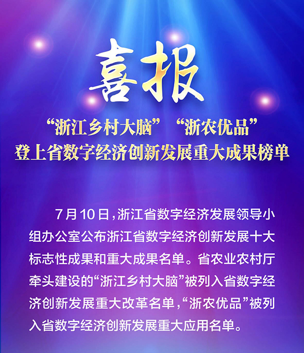 喜报！“浙江乡村大脑”登上省数字经济创新发展重大成果榜单