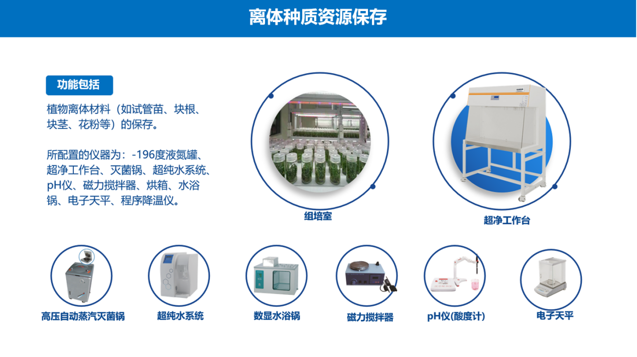 种质资源仪器离体种质资源保存仪器