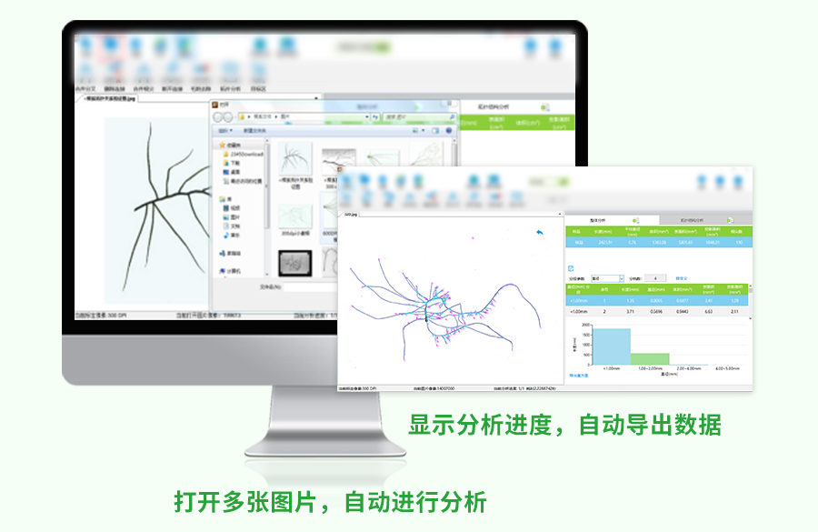 植物根系分析仪