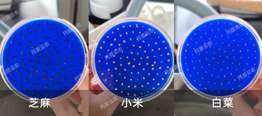 多功能真空数种置床台/真空置床系统TP-SZC-60